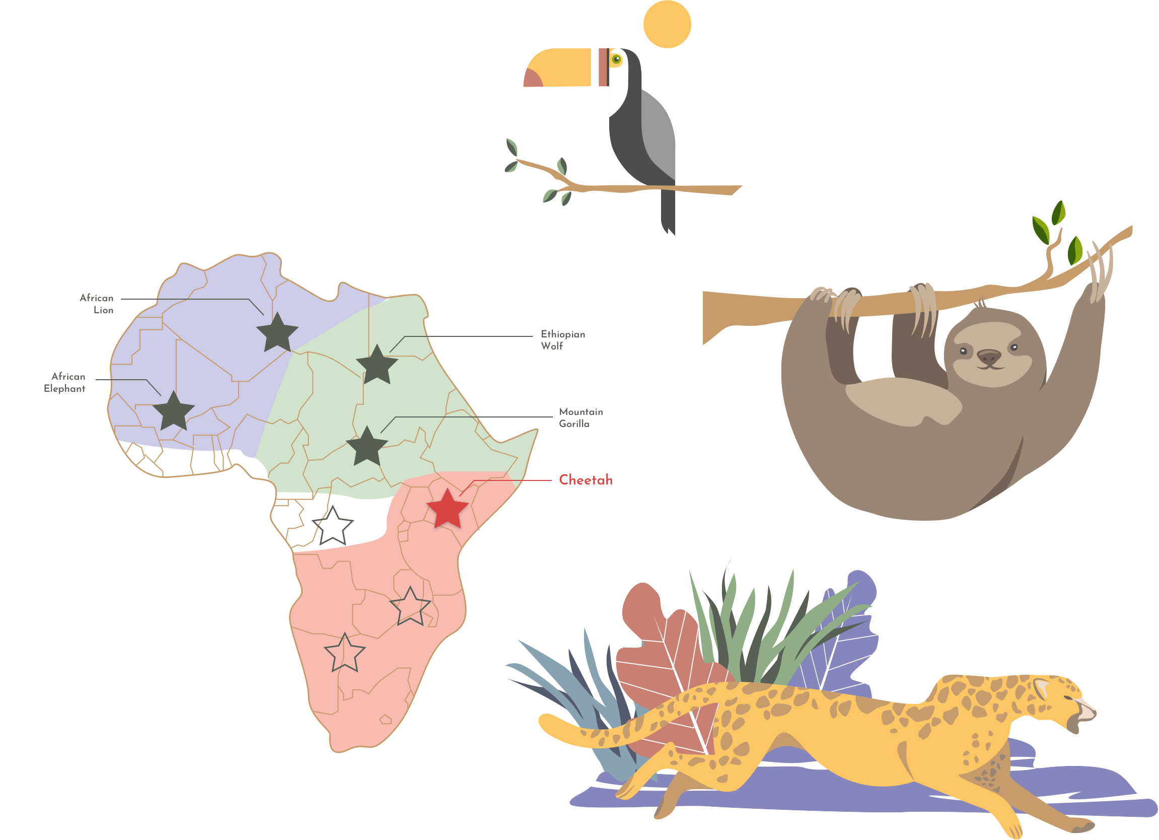 Illustrations