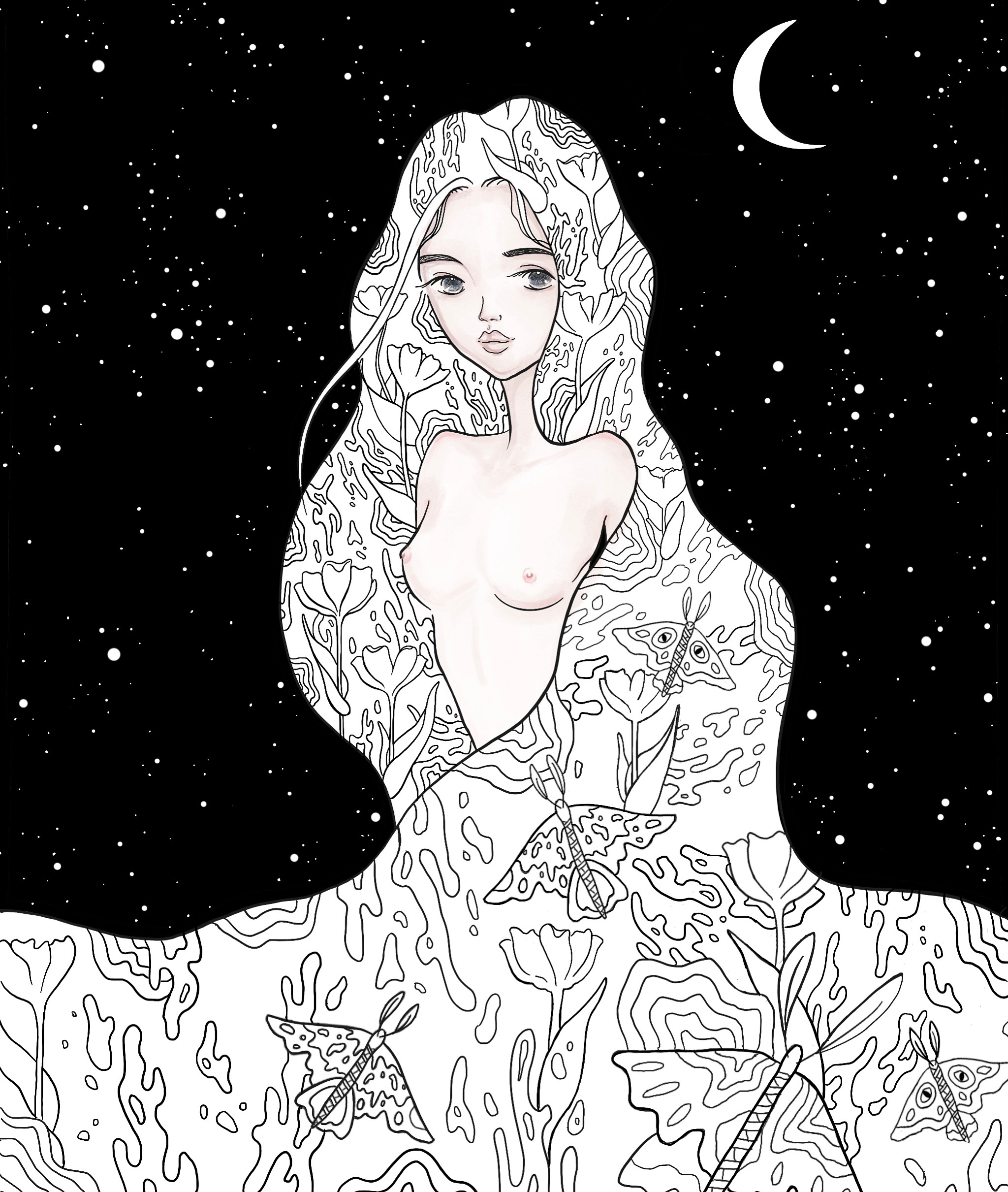 Nocturne-digital