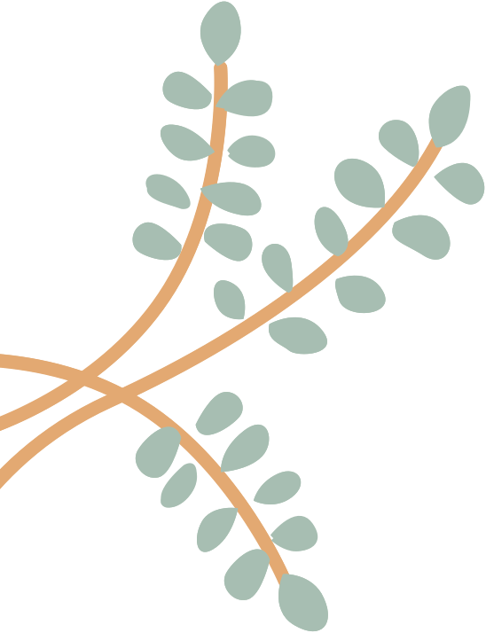 Thyme-Illustration