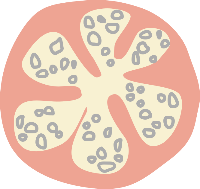 Tomato-illustration